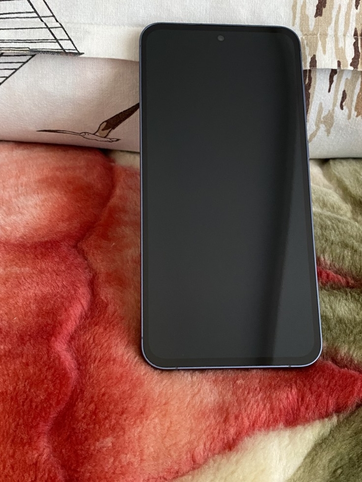 Samsung Galaxy A55 128 GB